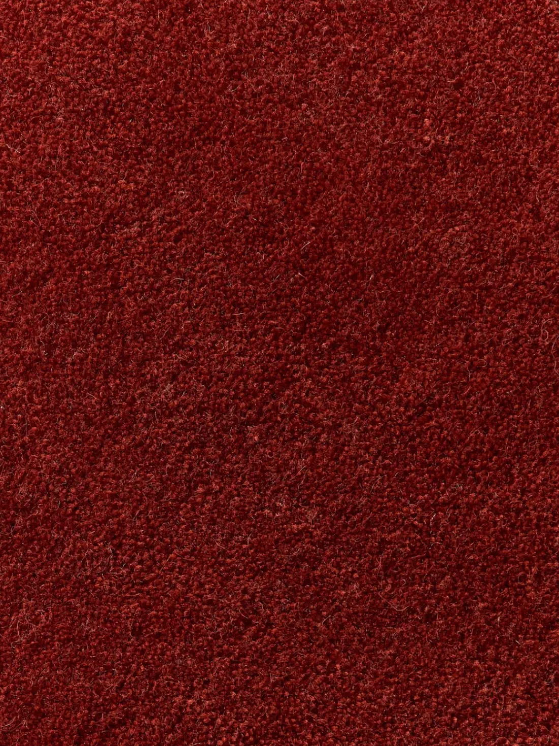 Alfombra de lana artesanal Zayne