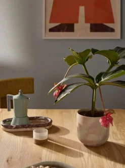 Bandeja decorativa de mármol Maba