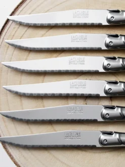 Bloque de 6 cuchillos Debutant Inox