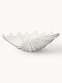 Cuenco de dolomita en forma de concha Shell