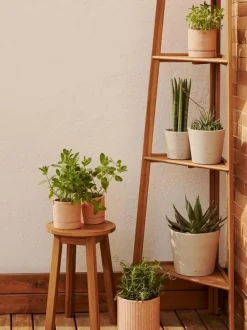 Escalera para macetas de madera Victora