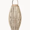 Farolillo Aleta, 63 cm