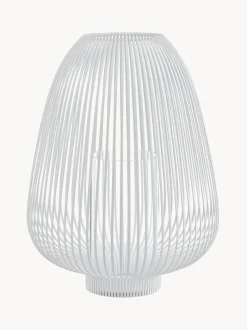 Farolillo Lyva