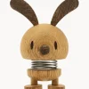 Hoptimist Bunny