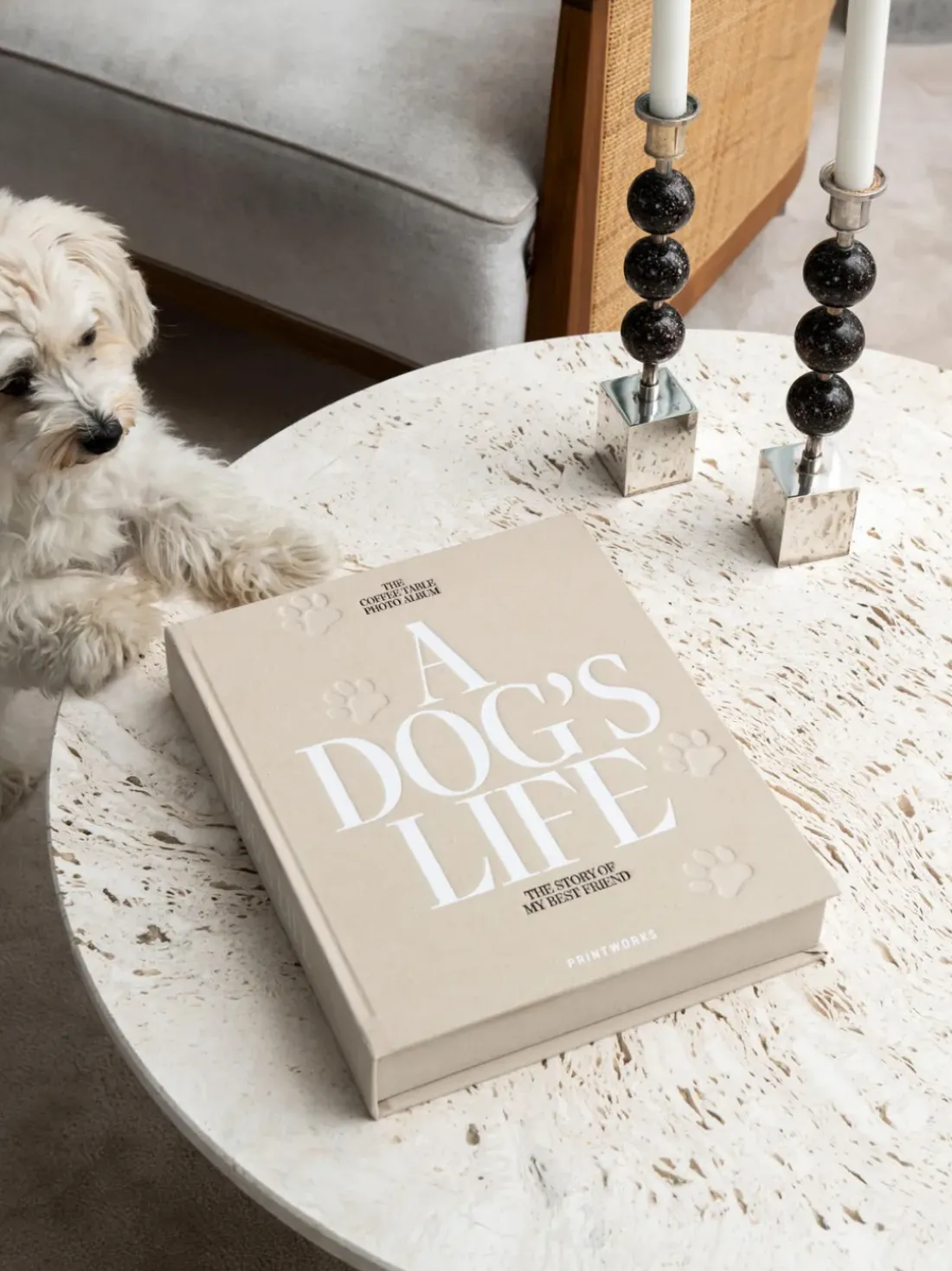 Álbum de fotos A Dog's Life