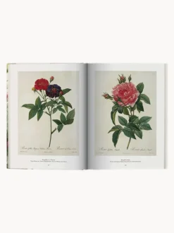Libro ilustrado Book of Flowers