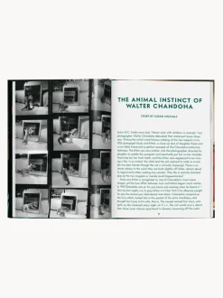 Libro ilustrado Cats. Photographs 1942–2018