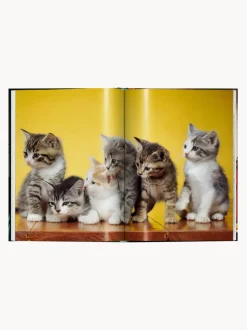 Libro ilustrado Cats. Photographs 1942–2018