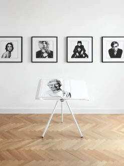 Libro ilustrado David Bailey