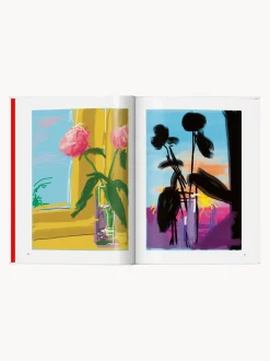 Libro ilustrado. David Hockney: My Window