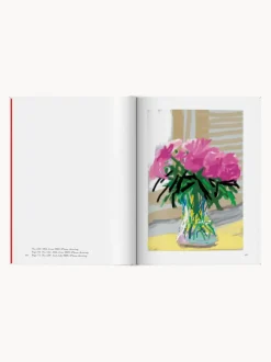 Libro ilustrado. David Hockney: My Window