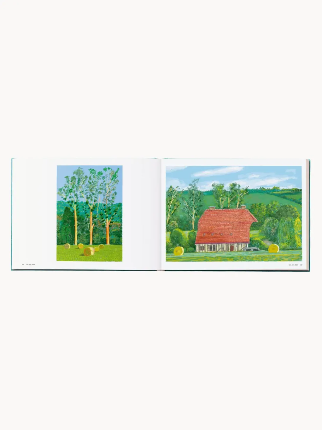 Libro ilustrado. David Hockney: 220 for 2020