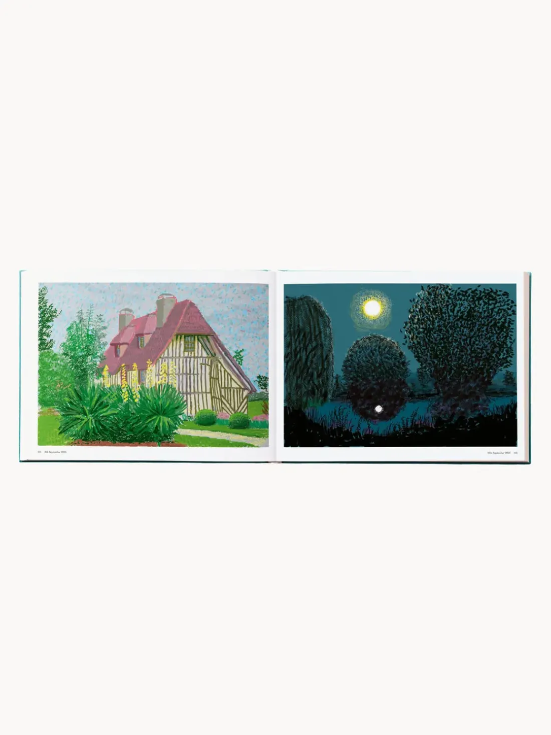 Libro ilustrado. David Hockney: 220 for 2020