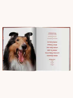 Libro ilustrado Dogs. Photographs 1941–1991