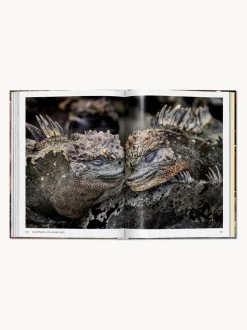 Libro ilustrado Steve McCurry. Animals
