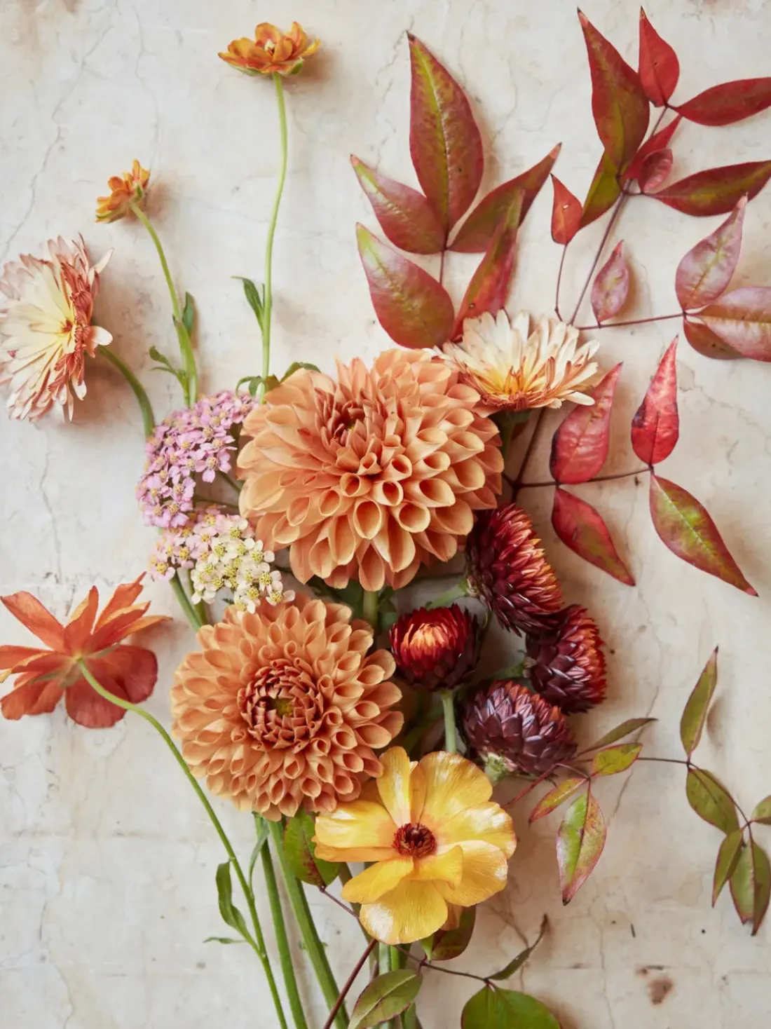 Libro ilustrado The Artistry of Flowers