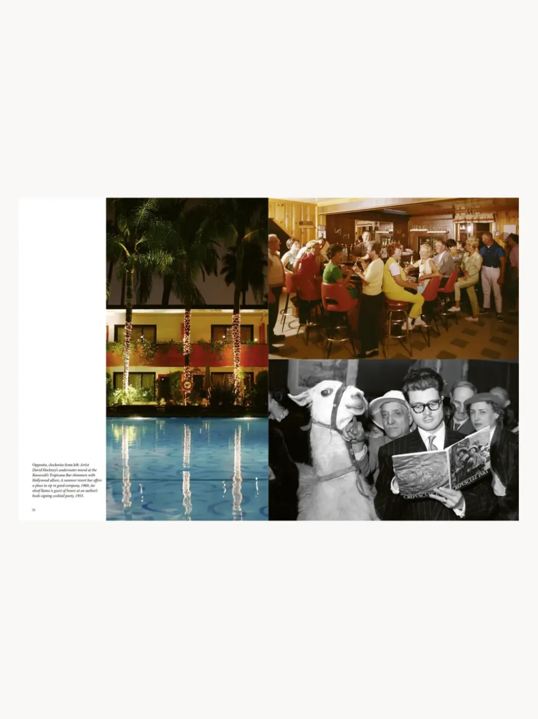 Libro ilustrado The Stylish Life - Cocktail Parties