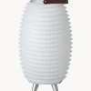 Lámpara cubitera regulable LED para exterior Synergy S, con altavoz