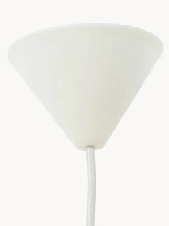 Lámpara de techo de plumas Eos