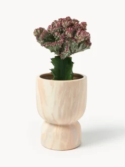 Macetero en look mármol Kiko, 20 cm