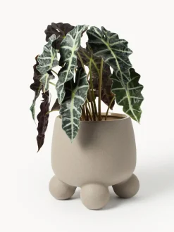 Macetero grande Olea, 32 cm