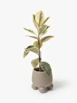Macetero Olea, 26 cm