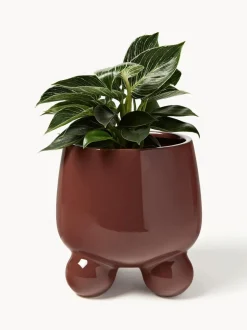 Macetero Olea, 26 cm