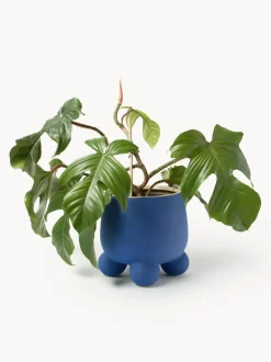 Macetero Olea, 26 cm