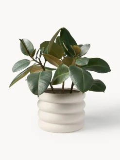 Macetero Rudi, 23 cm