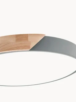 Plafón pequeño LED Borneo