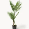 Planta artificial en macetero Palme