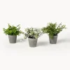 Plantas artificiales con macetas Timothy, 3 uds.