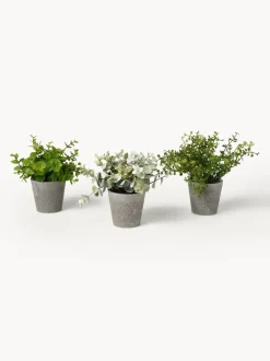 Plantas artificiales con macetas Timothy, 3 uds.