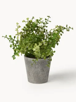 Plantas artificiales con macetas Timothy, 3 uds.