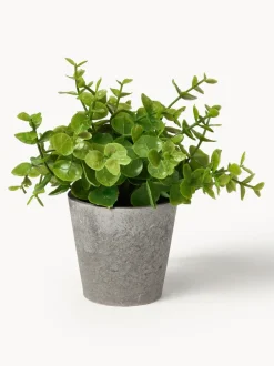 Plantas artificiales con macetas Timothy, 3 uds.