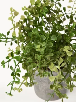 Plantas artificiales con macetas Timothy, 3 uds.
