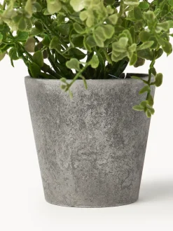 Plantas artificiales con macetas Timothy, 3 uds.