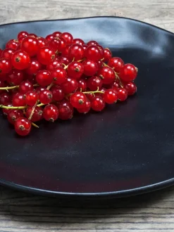 Platos postre Organic, 4 uds.