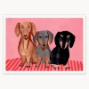 Póster Dachshunds