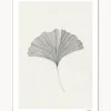 Póster Grinkgo Leaf