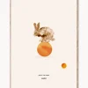 Póster Rocky the Rabbit