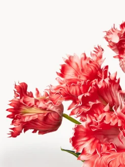 Ramo de flores artificiales Tulipán Parrot