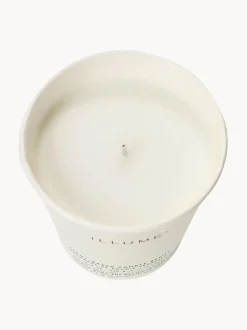 Recambio de vela perfumada Refill (jazmín y rocío marino salado)
