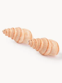 Salero y pimentero artesanales de dolomita Shell, 2 uds.