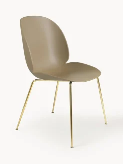 Silla Beetle