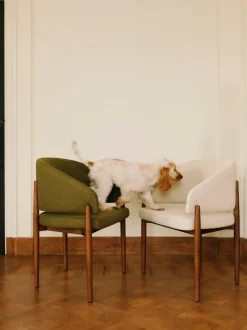 Silla con reposabrazos Nemo