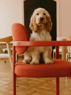 Sillón en tejido bouclé Adrien
