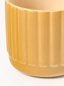Tazas Napari, 4 uds.