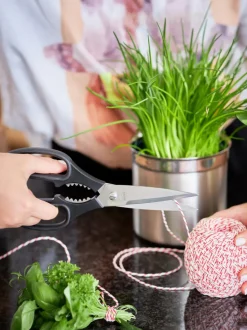Tijeras de cocina