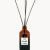 Varitas perfumadas Coriander (eucalipto, grosella negra)